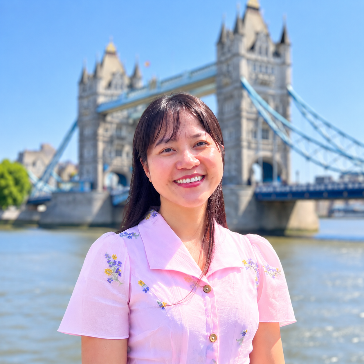 Anh Nguyen, Ph.D.
